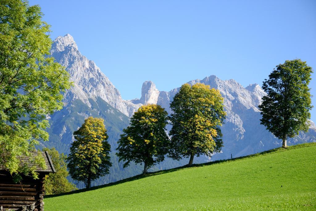 Daslichtenberg Westside Saalfelden Δωμάτιο φωτογραφία